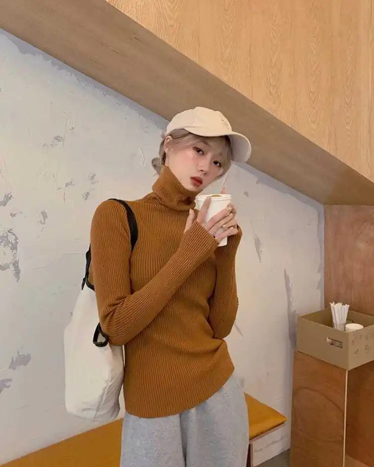 Women heaps collar Turtleneck Sweaters Autumn Winter Slim Pullover Women Basic Tops Casual Soft Knit Sweater Soft Warm Jumper