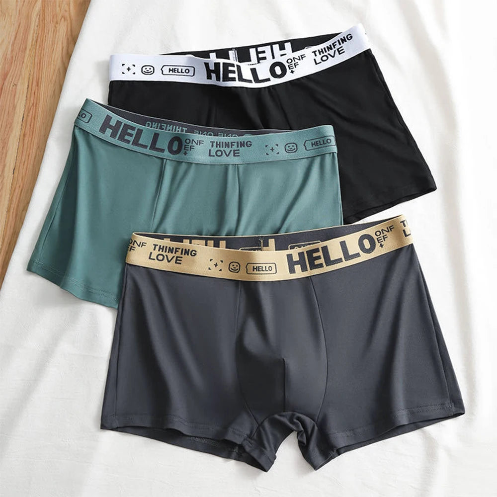 Men's Underwear Men Underpants Shorts Boxer Breathable Boxer Briefs Boy Boxers Male Panties