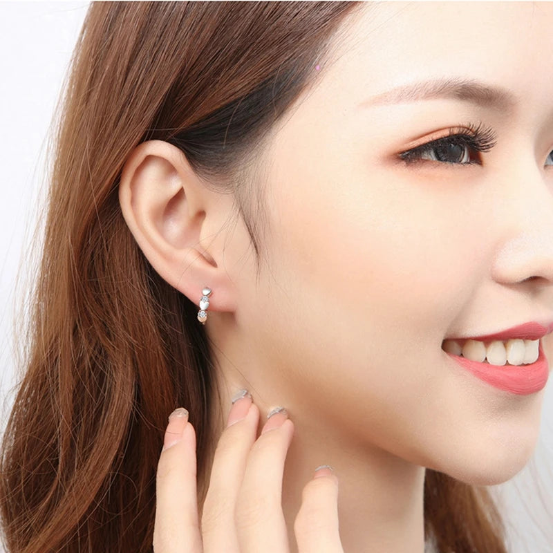 1 Pair Love Heart Cubic Zirconia Earrings Therapy Acupoints Slimming Ear  Magnetic Weight Loss Jewelry Girls Fashion Accessories