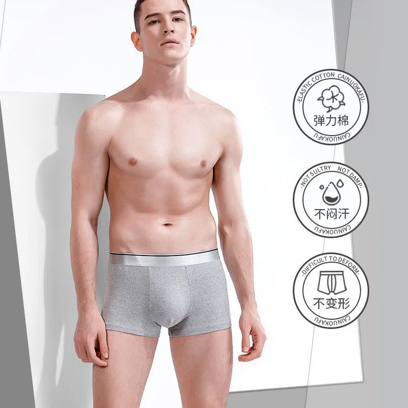 Boxer Male Panties Men's Underwear Boxers Breathable Sexy Man Boxer Solid Underpants Comfortable Plus Size BoxerShorts Lot L-5XL