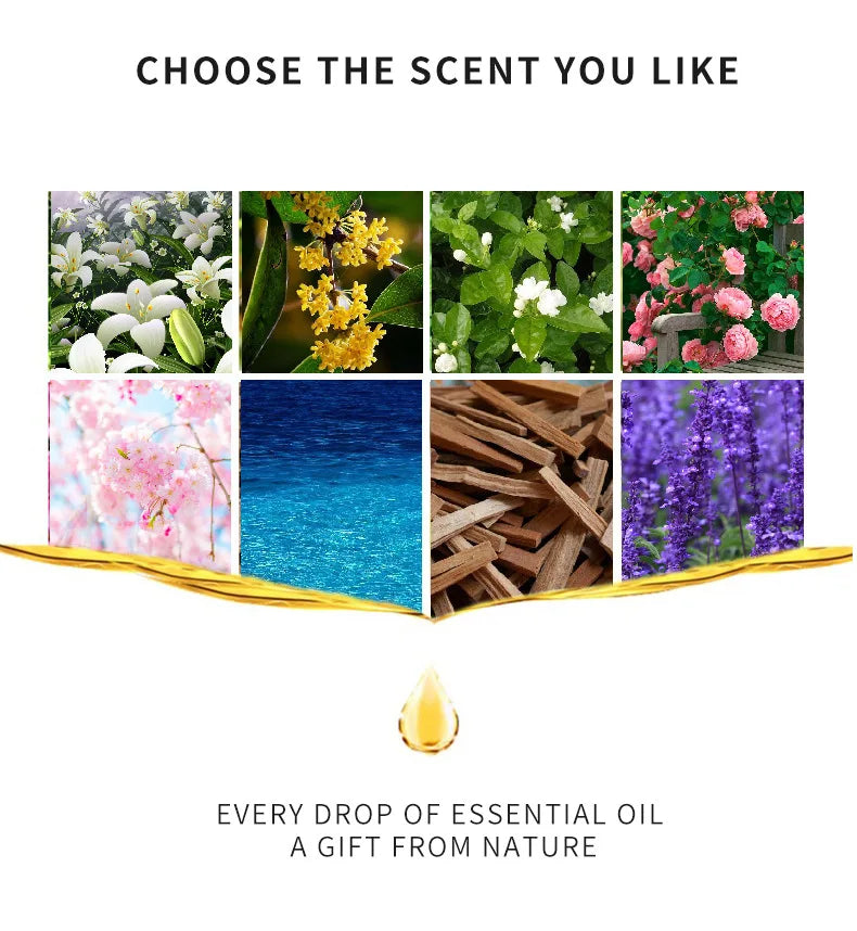 Essential Oil Water Soluble for Aromatherapy Diffuser Humidifier Room Fresheners Stress Relief Rose Lily Lavender Freesia 10ml