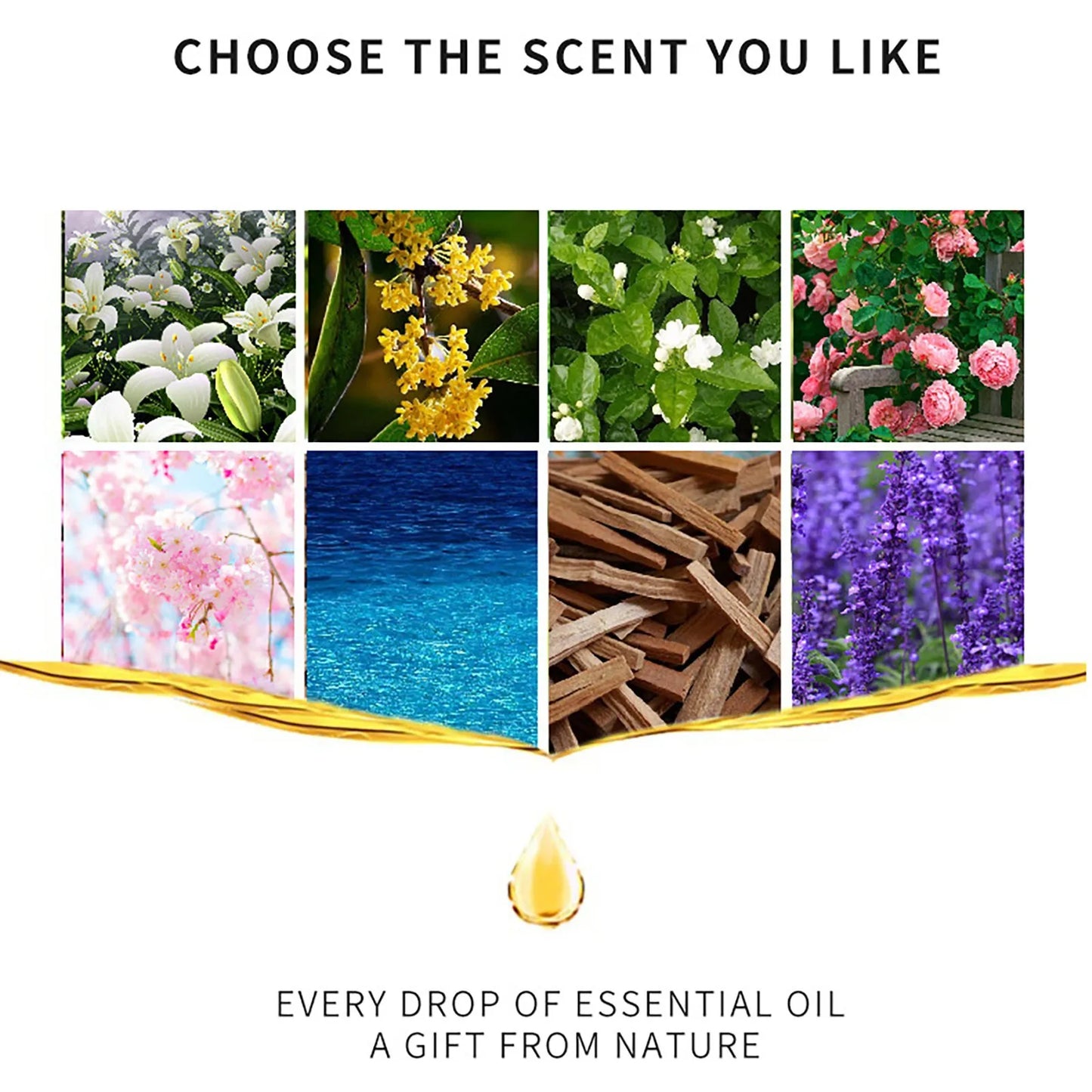 Essential Oil Water Soluble for Aromatherapy Diffuser Humidifier Room Fresheners Stress Relief Rose Lily Lavender Freesia 10ml